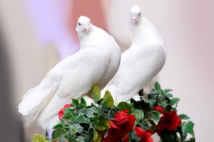 【祝婚歌 吉野弘】💗💐💗