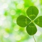 【田舎のお墓参りのあとで】💚🍀💚
