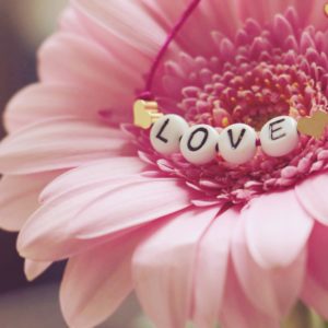 💗愛の意識革命❗春は出会いの時、あなたの心にも桜🌸を咲かせましょう🎵