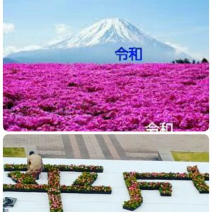 平成~令和へ  令和元年5月1日です💗 感謝㊗
