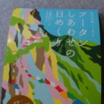 私、日めくりカレンダーで癒され励まされてま~す💕