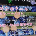第１9回柳谷観音【あじさいまつり】へ行きました🎐🎋🎐