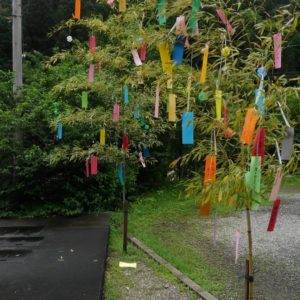 7月になりました。後の半年は充実の日々が続きますように🎋🎋🎋