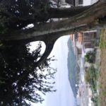 ハートの町大山崎町散策便り