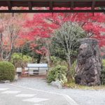 今年最後の写経で100巻納めた記念に梵字のお軸を頂きました。