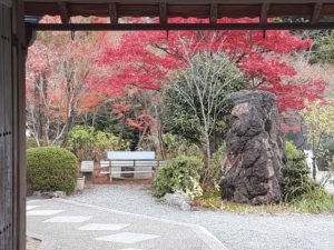 今年最後の写経で100巻納めた記念に梵字のお軸を頂きました。
