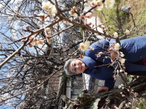 夫婦でゆく研修とうまいもん巡りの旅2日目は💕