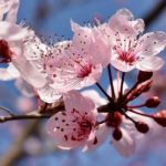 時代は変わっても人として向き合う事象は変わらない❗心持ちが大切では🍀