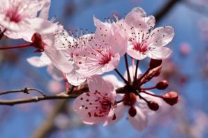 時代は変わっても人として向き合う事象は変わらない❗心持ちが大切では🍀