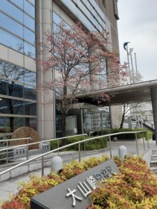 我が町、 大山崎町は素敵な町です❗️ステキ発見‼️