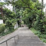 町内の散歩🚶🚶でいろんな実を見っけた🍒
