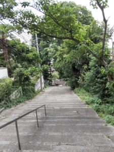 町内の散歩🚶🚶でいろんな実を見っけた🍒