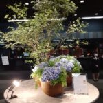 ホテルの フロントの紫陽花が美しく二人を出迎えています。二人は交際になりました💞