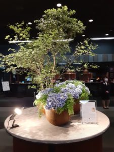 ホテルの フロントの紫陽花が美しく二人を出迎えています。二人は交際になりました💞