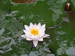 今年初めての『四国八十八ヶ所お遍路の旅』は13ヶ寺を参拝しました🙏