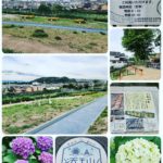 歴史の街　大山崎町に新しい史跡公園が出来ました💟
