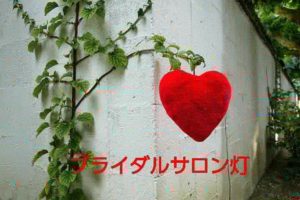 女性会員さんは自らネットでお相手を検索して5人の方にお見合い申し込みをしました💞