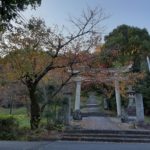 わが街、大山崎町はステキ発見ができるステキな散歩道です~🌟🍁🍂🌿🌟
