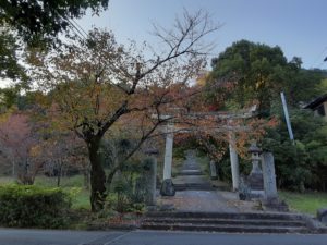 わが街、大山崎町はステキ発見ができるステキな散歩道です~🌟🍁🍂🌿🌟