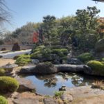 今年最後の写経は西山の晩秋の装いの中、一年を終えることが出来ました🙏