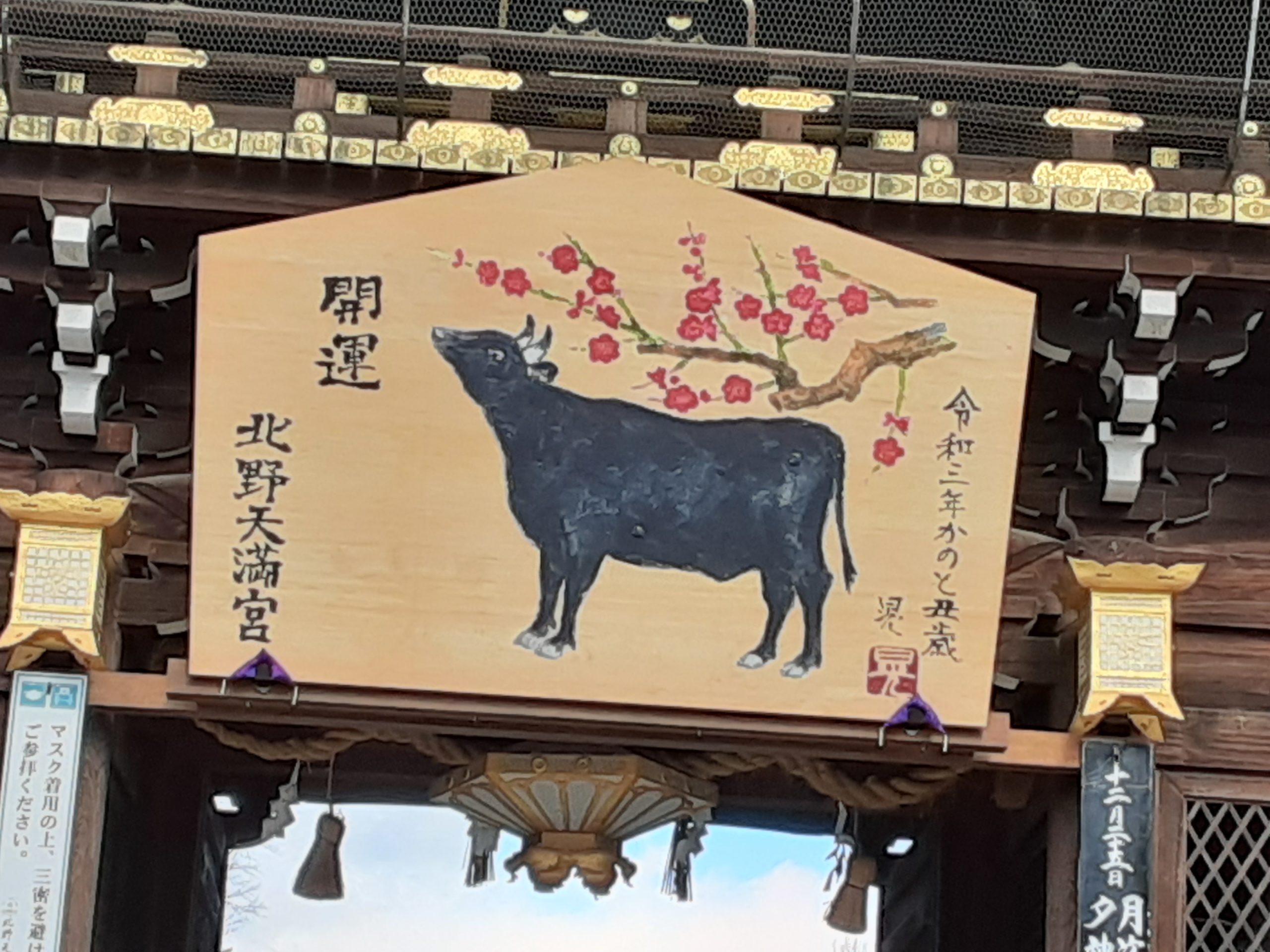 今年も北野天満宮の終い天神へいき、京都の師走の風物詩を味わいました🎍