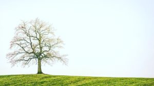 【セレンディピィティ】という言葉🍀