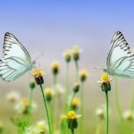 今日は立春ですねぇ~🌷🎶🌷🎶🌷