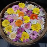 今日でお別れ👋「ありがとう🌸😊🌸」