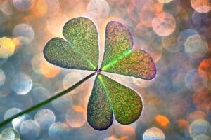 凹んだ心に『課題の分離inアドラー』で救われました🍀