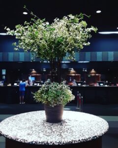 京都でお見合いがあり、二人は交際になりました💞二人の愛を応援していきます💐