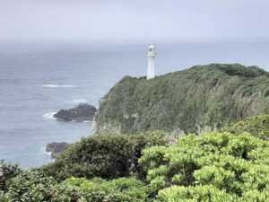 7月の絵画をお届けします🎨　夫の森本登が描きました🎋