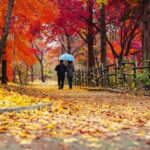 人恋しい季節になりました🍁🌾🍂男性の方2名様がホームページをみられての問い合わせがありました❤️