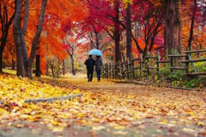 人恋しい季節になりました🍁🌾🍂男性の方2名様がホームページをみられての問い合わせがありました❤️