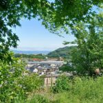 5月1日皐月です🎏5月もよろしくお願い致します🌿5月5の絵画をお届けします🍀