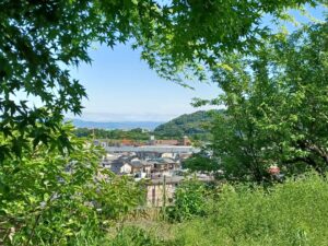 5月1日皐月です🎏5月もよろしくお願い致します🌿5月5の絵画をお届けします🍀