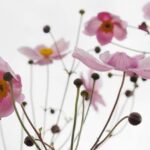 9月1日長年月🌙🌕です。9月もよろしくお願い致します😊