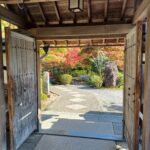 11月の写経in正法寺🙏と芸術の秋🍁を楽しみました