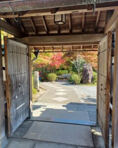 11月の写経in正法寺🙏と芸術の秋🍁を楽しみました