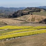 早春🌱🌿🌷の大人の遠足 丹波篠山巡り