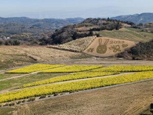 早春🌱🌿🌷の大人の遠足 丹波篠山巡り