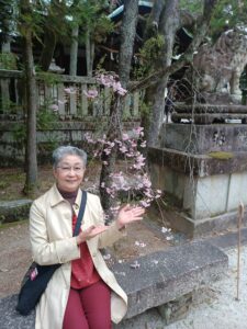 ツアーで🌸春を愛でる遠足🌸に夫婦で参加し、季節を味わいながら素敵な思い出づくりができました。