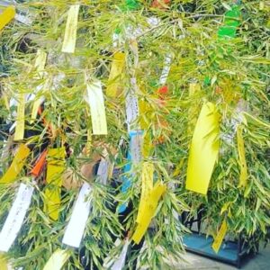 七夕月🎋限定の料金は入会料は無料にさせて頂きます💞　彦星さん&織姫さんに喜んで頂きましょう‼️