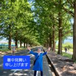 8月1日、葉月です🌵🌴 『暑中お見舞い申し上げます🌻』8月もよろしくお願い致します。