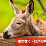 fmおとくににゲストとして出演します。テーマは子育て中のお母さんとのマッチング『きかせて ロバの耳』のお知らせです。地域に根差したボランティア活動の内容です。