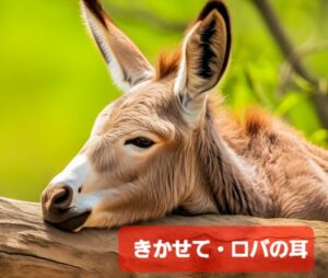 fmおとくににゲストとして出演します。テーマは子育て中のお母さんとのマッチング『きかせて　ロバの耳』のお知らせです。地域に根差したボランティア活動の内容です。