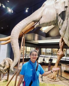 今回の夏旅は滋賀県の琵琶湖周辺で大人の社会見学の博物館はとても面白いかったです🐟🐬🐾