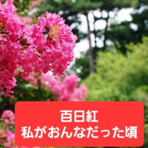 四季折々の町内の風物詩をウォーキング俳句で綴ります(2023年8月)