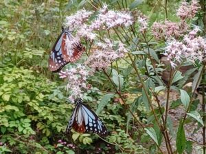 秋の大人の遠足へ行きました🍃🍂🌾