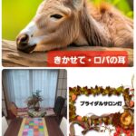 『ロバの耳👂️』のスタッフさんと招待客さん1名でお茶会をして貴重な時間を共有しました💞