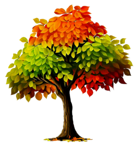 今の日常を確認しながら日々の生活を素敵に過ごせるように『幸歳』への条件を並べてみました✨️